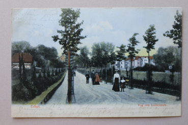 Ansichtskarte AK Erfurt 1906 Weg zum Louisenpark Straße Häuser Ortsansicht Architektur Thüringen